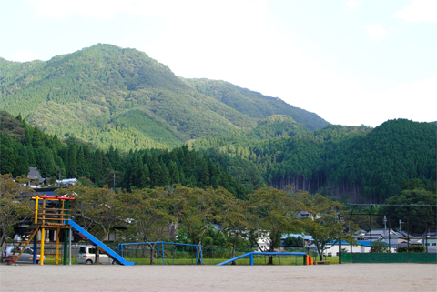 ２週間小学校ツアー